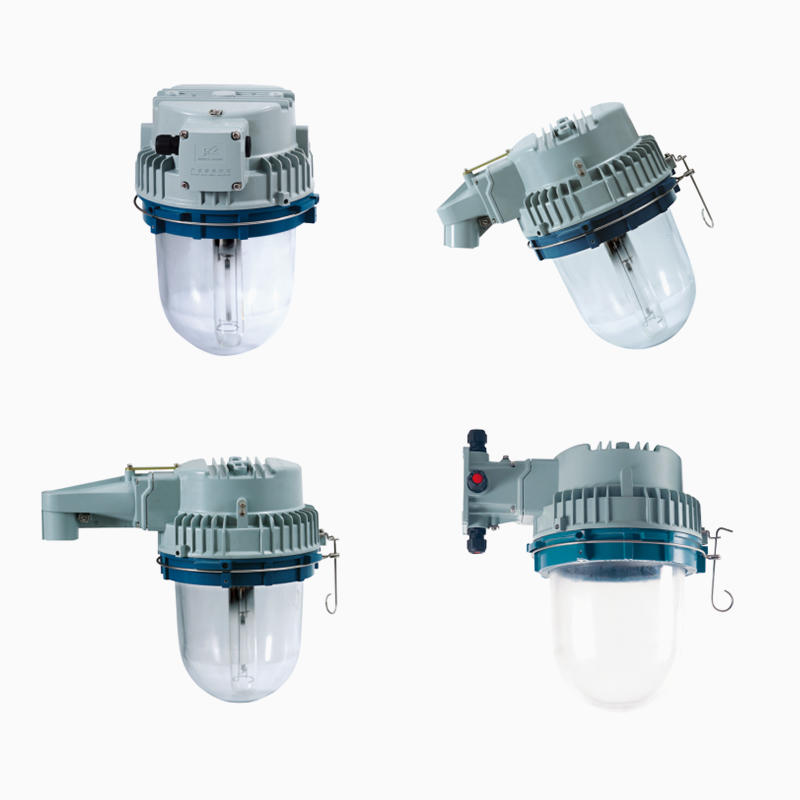 CZ0874/2 Explosion-proof light fittings